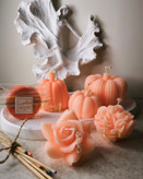 رنگ شمعسازی مات سالمون سوین کالر برای شمعهای دستساز و لوکس دکوری